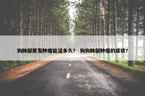 狗肺部原发肿瘤能活多久？ 狗狗肺部肿瘤的症状？