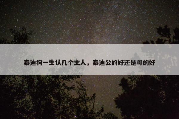 泰迪狗一生认几个主人，泰迪公的好还是母的好