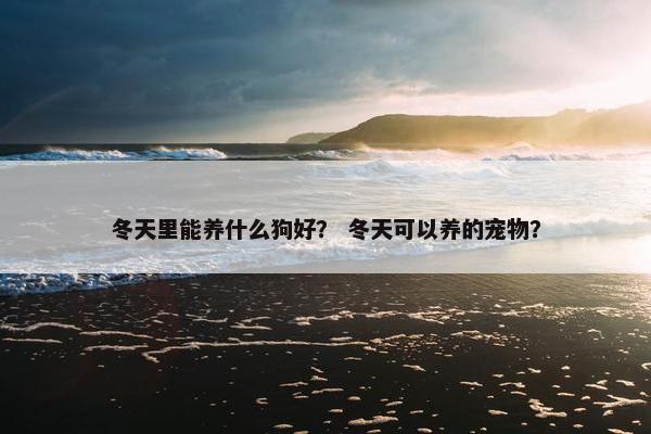 冬天里能养什么狗好? 冬天可以养的宠物?