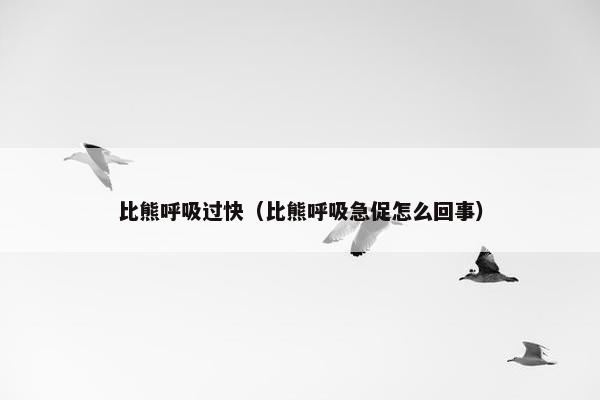 比熊呼吸过快（比熊呼吸急促怎么回事）