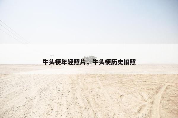 牛头梗年轻照片,牛头梗历史旧照