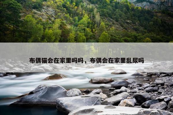 布偶猫会在家里吗吗，布偶会在家里乱尿吗