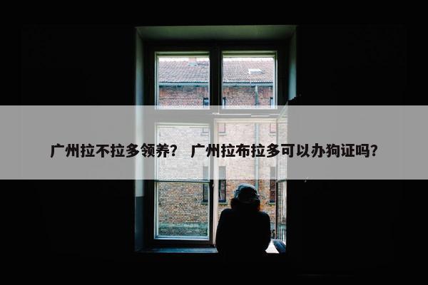广州拉不拉多领养？ 广州拉布拉多可以办狗证吗？