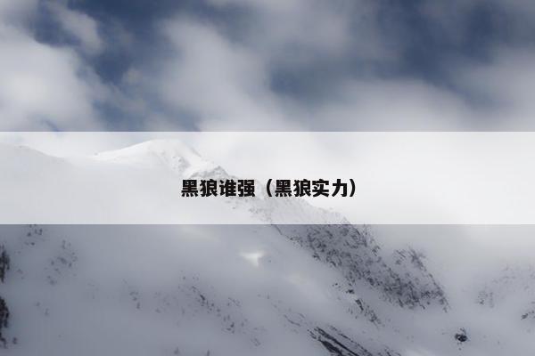 双鹰