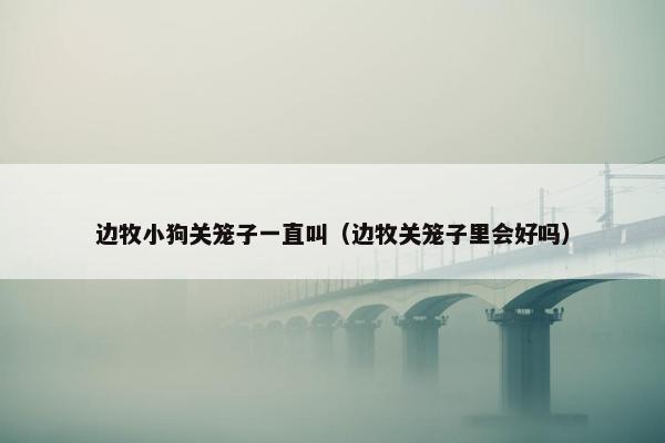 边牧小狗关笼子一直叫（边牧关笼子里会好吗）