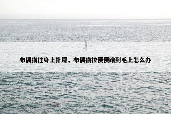 布偶猫往身上扑屎，布偶猫拉便便蹭到毛上怎么办