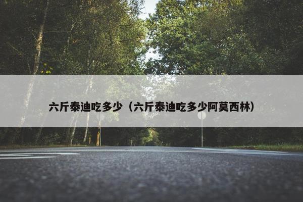 六斤泰迪吃多少（六斤泰迪吃多少阿莫西林）