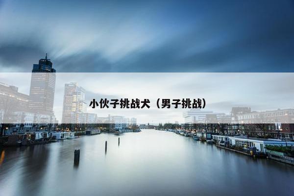 小伙子挑战犬（男子挑战）