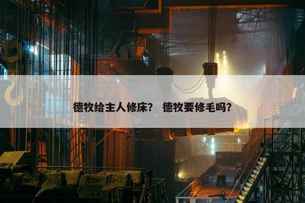 德牧给主人修床？ 德牧要修毛吗？