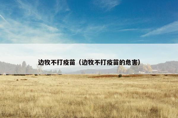 边牧不打疫苗（边牧不打疫苗的危害）