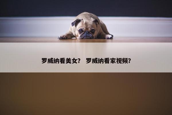 罗威纳看美女？ 罗威纳看家视频？