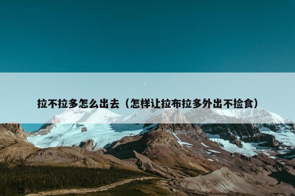 拉不拉多怎么出去（怎样让拉布拉多外出不捡食）