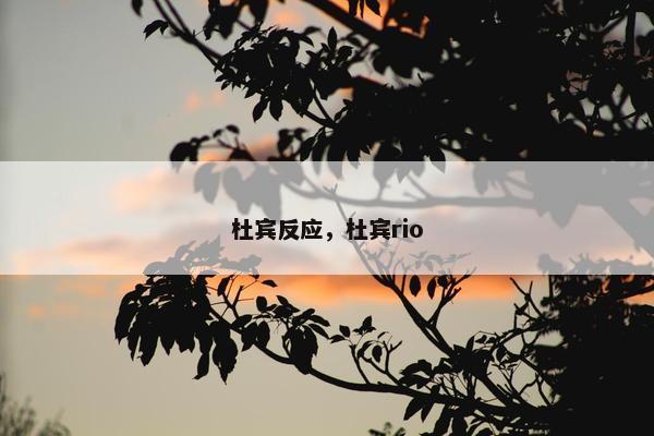 杜宾反应，杜宾rio