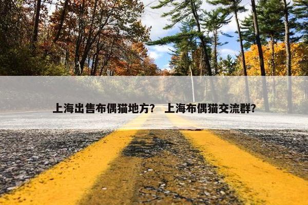 上海出售布偶猫地方？ 上海布偶猫交流群？