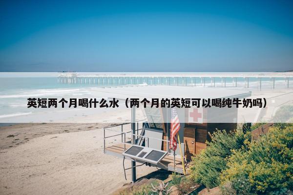英短两个月喝什么水（两个月的英短可以喝纯牛奶吗）