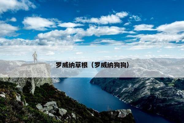罗威纳草根（罗威纳狗狗）