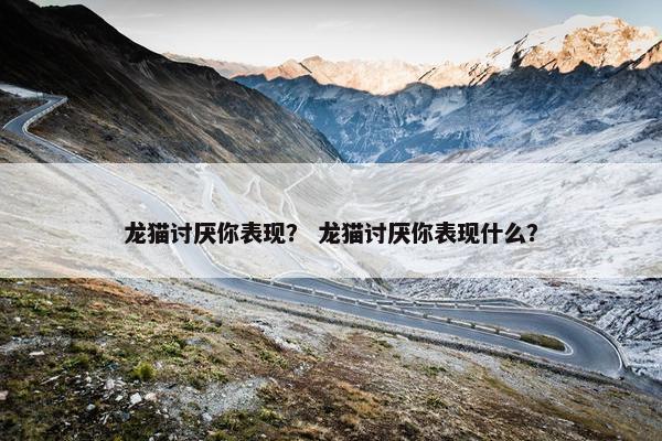 龙猫讨厌你表现? 龙猫讨厌你表现什么?