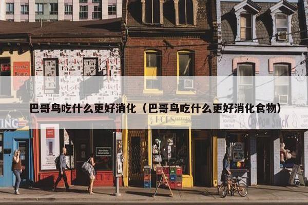 巴哥鸟吃什么更好消化（巴哥鸟吃什么更好消化食物）