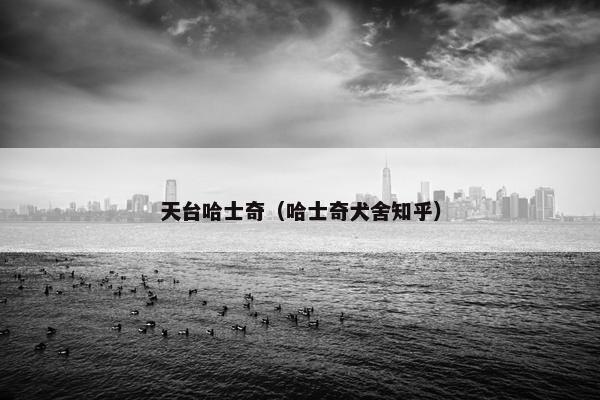 天台哈士奇(哈士奇犬舍知乎)