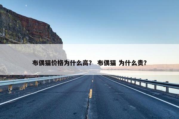 布偶猫价格为什么高？ 布偶猫 为什么贵？