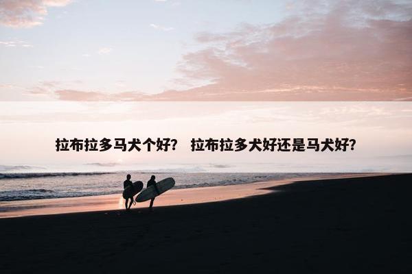 拉布拉多马犬个好？ 拉布拉多犬好还是马犬好？
