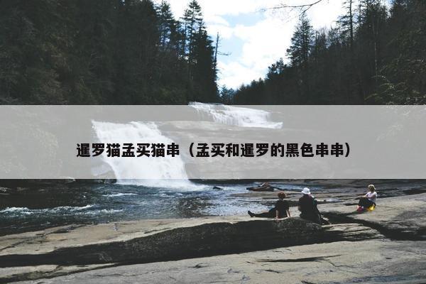 暹罗猫孟买猫串（孟买和暹罗的黑色串串）