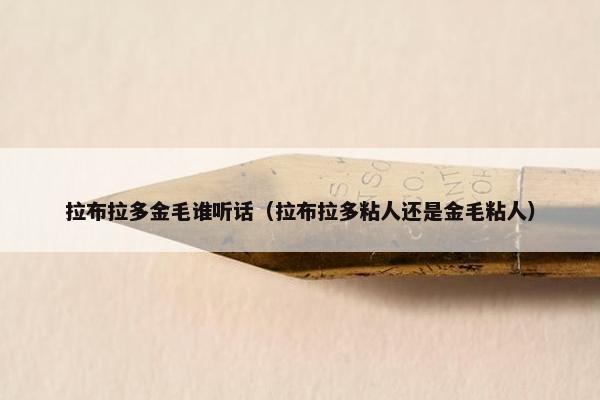 拉布拉多金毛谁听话（拉布拉多粘人还是金毛粘人）