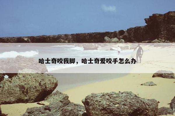 哈士奇咬我脚，哈士奇爱咬手怎么办