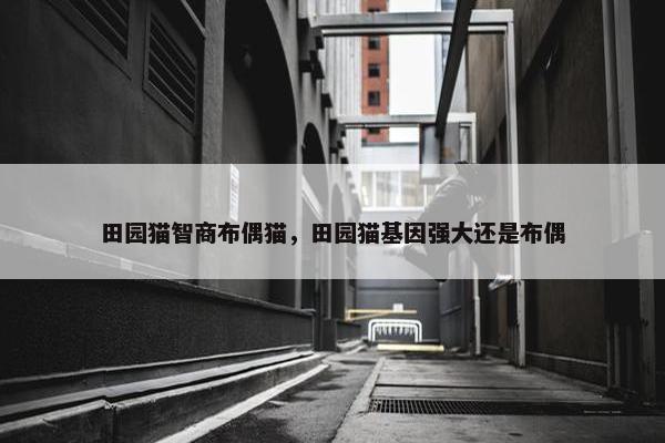 田园猫智商布偶猫,田园猫基因强大还是布偶