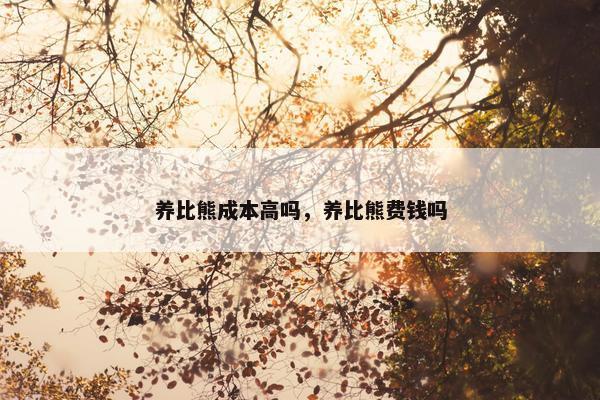 养比熊成本高吗，养比熊费钱吗