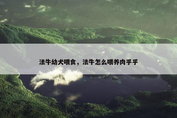 法牛幼犬喂食，法牛怎么喂养肉乎乎
