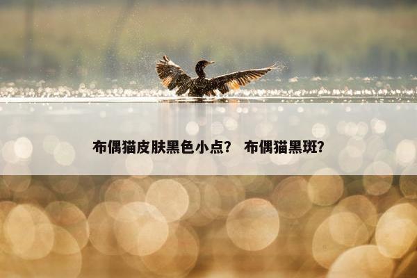 布偶猫皮肤黑色小点？ 布偶猫黑斑？