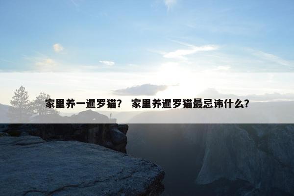 家里养一暹罗猫？ 家里养暹罗猫最忌讳什么？
