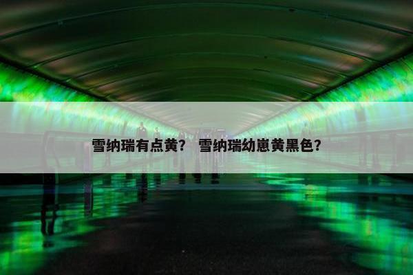 原因 第3页