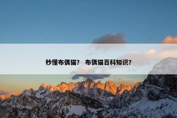 秒懂布偶猫？ 布偶猫百科知识？