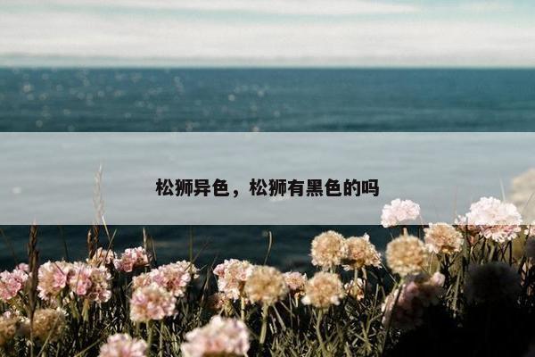 松狮异色，松狮有黑色的吗