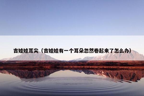 吉娃娃耳尖（吉娃娃有一个耳朵忽然卷起来了怎么办）