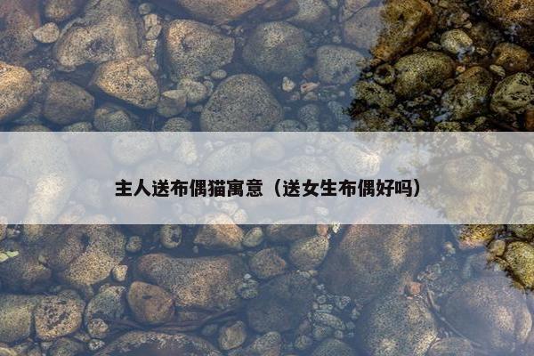 主人送布偶猫寓意（送女生布偶好吗）