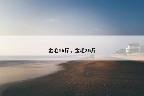 金毛16斤，金毛25斤