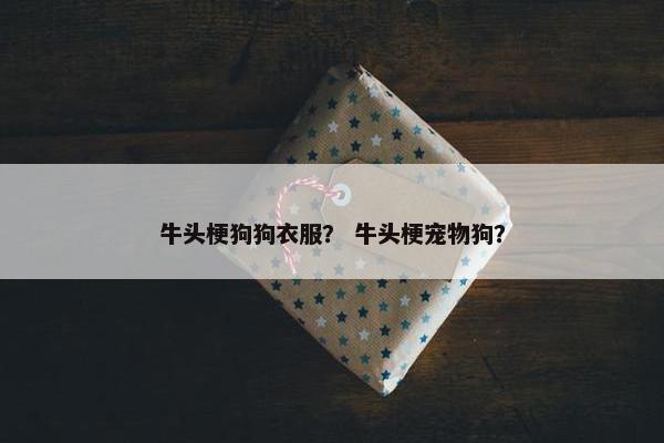 牛头梗狗狗衣服？ 牛头梗宠物狗？