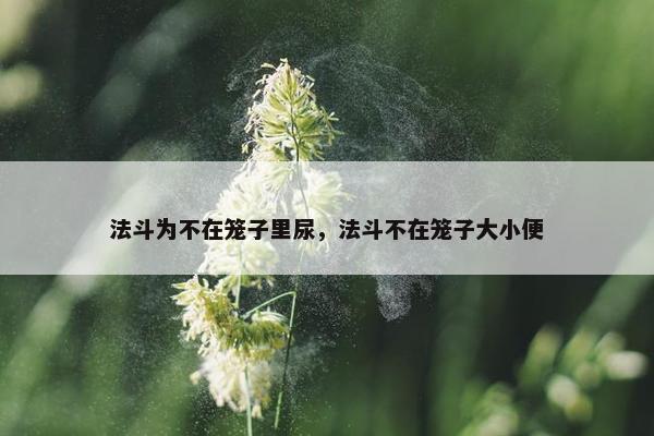 法斗为不在笼子里尿，法斗不在笼子大小便
