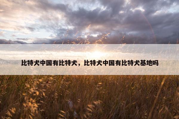比特犬中国有比特犬,比特犬中国有比特犬基地吗