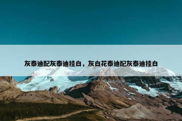 灰泰迪配灰泰迪挂白，灰白花泰迪配灰泰迪挂白
