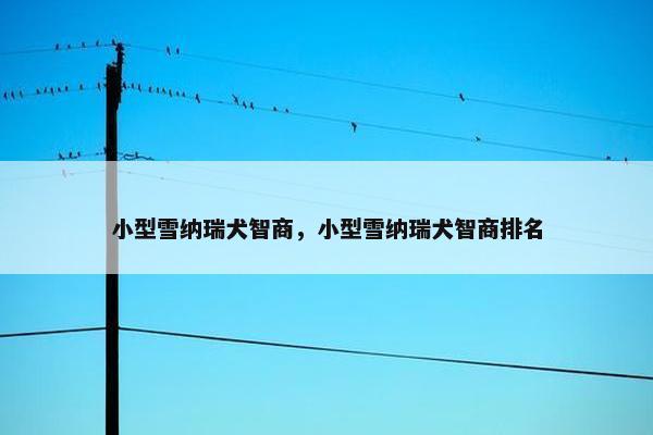 小型雪纳瑞犬智商，小型雪纳瑞犬智商排名