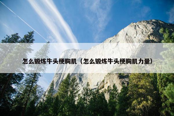 牛头梗 第48页