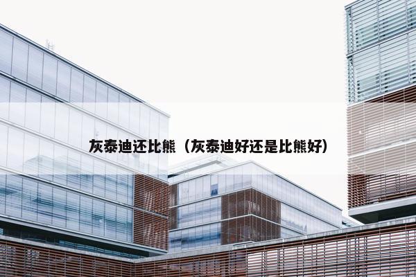 灰泰迪还比熊（灰泰迪好还是比熊好）