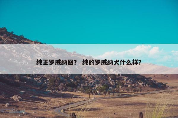 纯正罗威纳图？ 纯的罗威纳犬什么样？