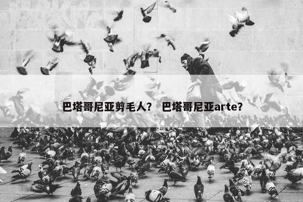 巴塔哥尼亚剪毛人？ 巴塔哥尼亚arte？