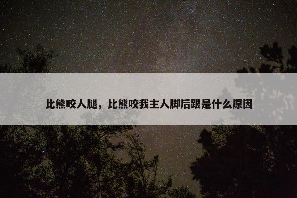 比熊咬人腿，比熊咬我主人脚后跟是什么原因