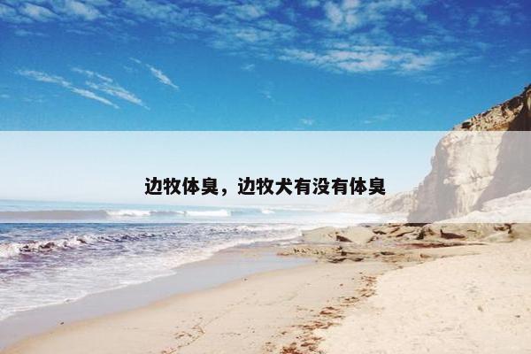边牧体臭，边牧犬有没有体臭